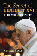 Secret of Benedict.pdf